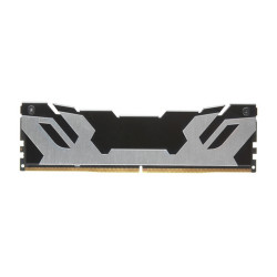 DDR5 48GB 6400MT/S  KINGSTON FURY RENEGADE SILVER XMP CL32
