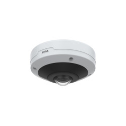 AXIS M4317-PLVE