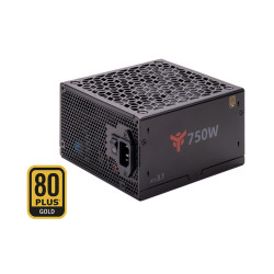 ALIMENTATORE ATX  GBI750 - 750W, 80PLUS GOLD, ATX 3.1, PFC ATTIVO, VENTOLA FDB 1